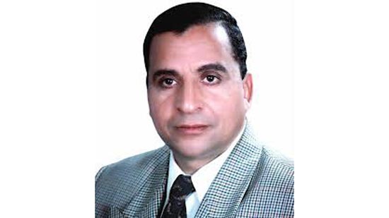  النائب عبد الحميد كمال عضو مجلس النواب