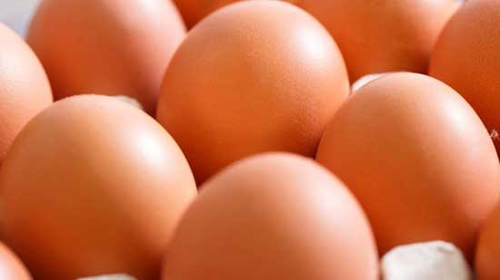 تعرف على أسعار البيض في الأسواق اليوم 12-9-2017