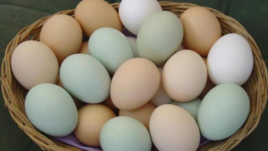 بالفيديو: هل تعرف ماذا يحدث لجسمك إذا داومت على تناول البيض يومياً؟