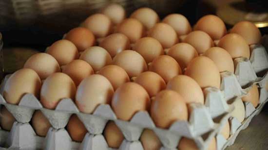 مفاجأة غير متوقعة في أسعار البيض