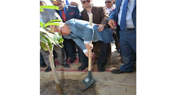 وزير الثقافة يزرع شجرة على أرواح شهداء مصر