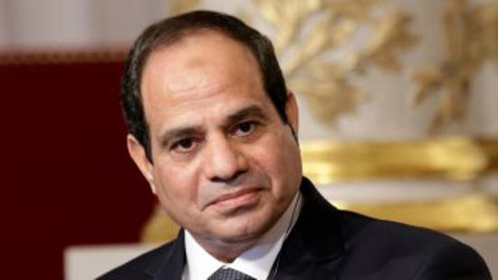 السيسى يؤكد لرئيس الكونجرس اليهودى حرص مصر على تحقيق المصالحة الفلسطينية