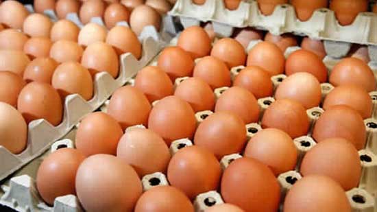 أسعار البيض في الأسواق اليوم 6-11-2017