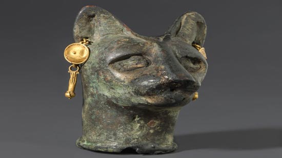 معرض يسلط الضوء على دور القطط في مصر القديمة