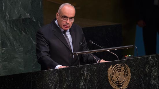 كلمة مصر في مجلس الأمن: نرفض قرار ترامب (فيديو)