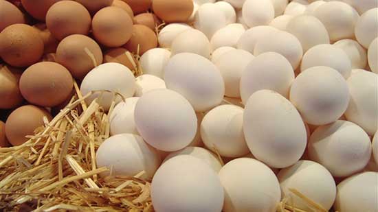 أسعار البيض في الأسواق اليوم 12-12-2017