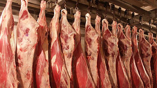 التموين : اللحوم البلدية انخفضت سعرها في الاسواق