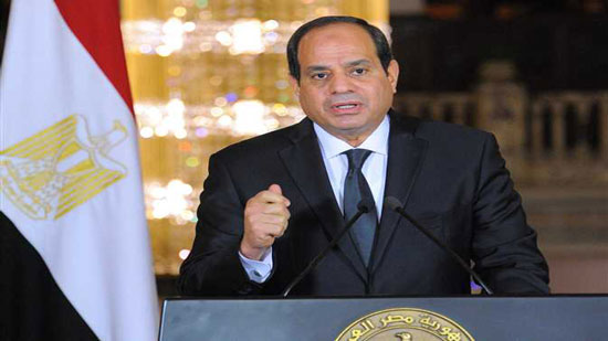 وفد المصريين بالنمسا يزور القنصلية ويوقع توكيلات لإعادة ترشيح الرئيس السيسي