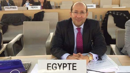 السفير هشام بدر سفير جمهورية مصر العربية