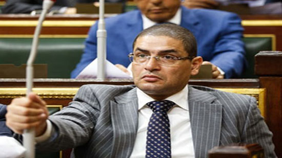  محمد أبوحامد، عضو مجلس النواب،