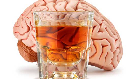 هل ينظف الكحول دماغك حقًا؟