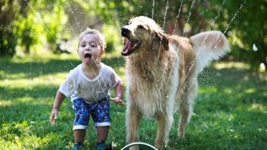ضحك ولعب وجد وحب.. صور تسرد حياة الكلاب مع أصدقائها