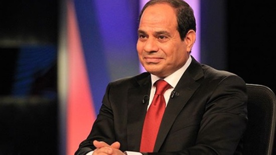 حملة علشان تبنيها: المصريين بالخارج أعلنوا تأييدهم لـ(السيسى) في انتخابات الرئاسة