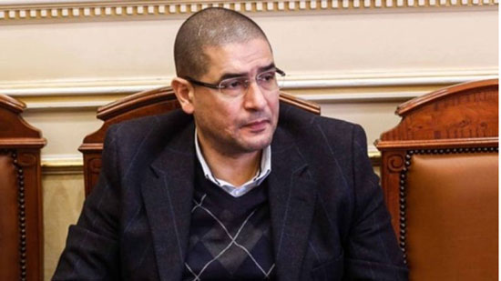  محمد أبوحامد، عضو مجلس النواب، 