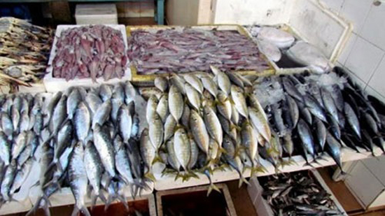 «الزراعة»: غلق بحيرة ناصر سيزيد من حجم ووزن الأسماك