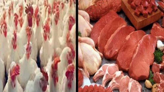  التموين: لا زيادة بأسعار اللحوم والدواجن بالمجمعات الاستهلاكية