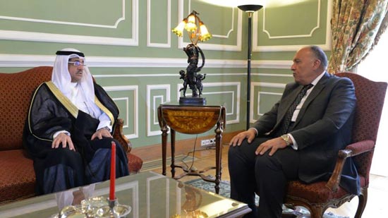 وزير الخارجية يلتقي مسؤول بالمملكة العربية السعودية