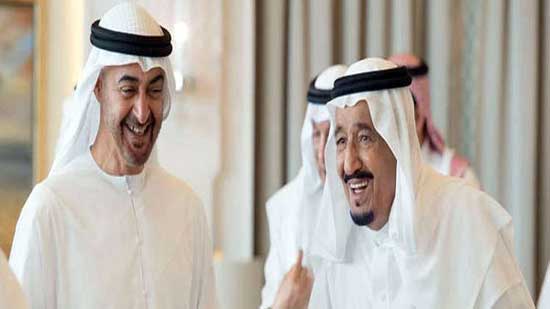 محمد بن زايد آل نهيان والعاهل السعودي الملك سلمان