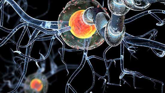 دراسة جديدة تظهر لماذا يجب عليك بالفعل الاهتمام بخلايا دماغك