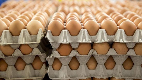 أسعار البيض تواصل استقرارها في الأسواق اليوم الاثنين 23-4-2018
