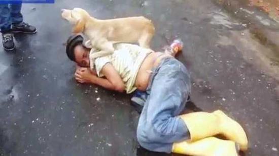 مليون مشاهدة لفيديو الكلب الوفي كلب يحمي صاحبه الكلب الوفي

