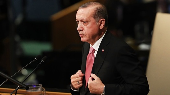 ألمانيا تحرج أردوغان أمام معارضيه .. وتركيا ترد
