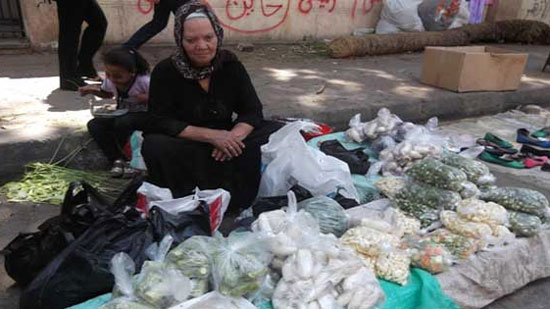 «المركزي للإحصاء»: 3.3 مليون أسرة مصرية تعولها السيدات
