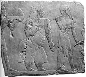 المرأة كحاكمة في مصر القديمة يضع حضارتنا فى الريادة