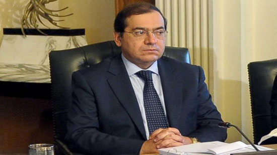البنك الدولي يشيد بالتجربة المصرية لإصلاح قطاع الطاقة