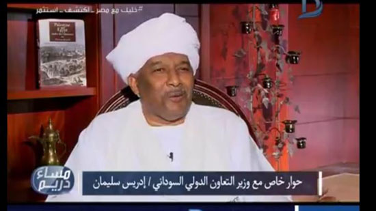 وزير التعاون الدولي السوداني: كل العرب مقصرين ودور الجامعة العربية كاد يزول 