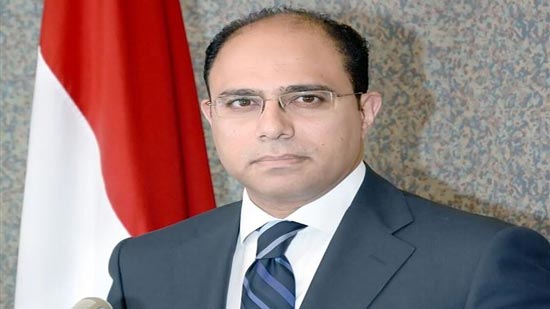 السفير أحمد أبوزيد المتحدث باسم وزارة الخارجية المصرية - أرشيفية