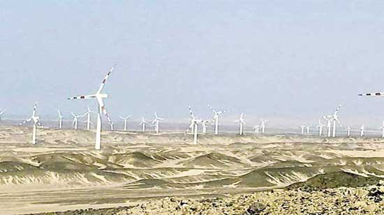 أكبر مزرعة لإنتاج كهرباء الرياح