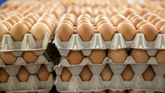 أسعار البيض بالأسواق اليوم.. وتراجع ملحوظ في المبيعات