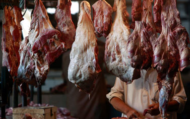 مصر مستمرة في شراء اللحوم الإثيوبية