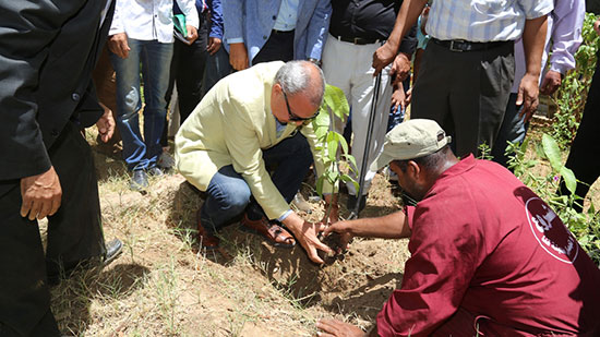 محافظ قنا يغرس اولي اشجار مبادرة الرئيس عبدالفتاح السيسي لزراعة مليون شجرة مثمرة