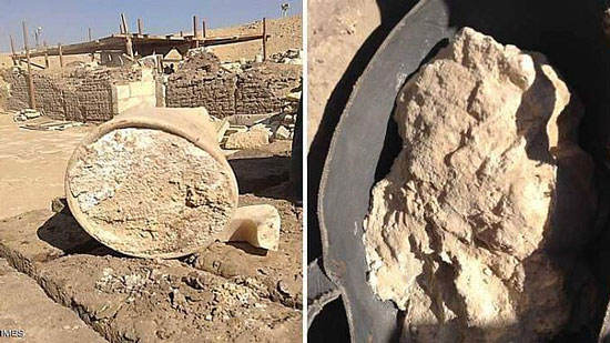 علماء يكتشفون أقدم قطعة جبن في العالم بقبر مصري