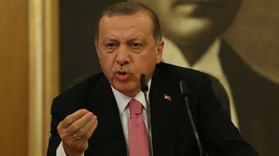 أردوغان يدعو إلى إنهاء هيمنة الدولار فى التجارة الدولية