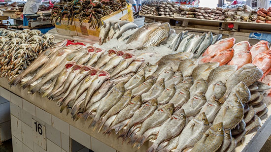 مبادرة لإطلاق أول سوق سمك أون لاين في مصر