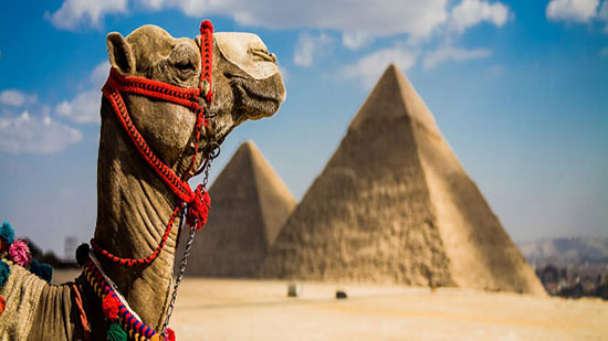  تقرير دولي: مصر تُسجل أسرع معدل للجذب السياحي عالميًا