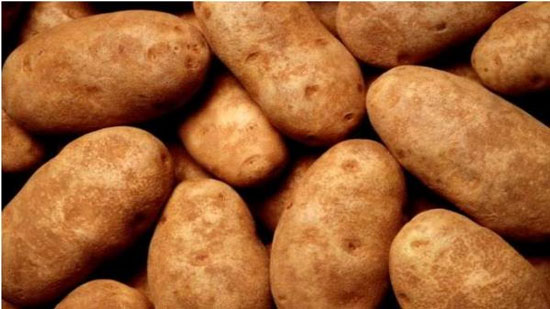 فى مثل هذا اليوم.. بداية مجاعة البطاطس في أيرلندا والتي كان من نتائجها وفاه مليون أيرلندي وهجرة 1.5 مليون إلى الخارج