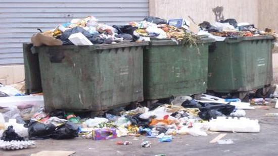  ٤٩ مليون جنيه من البيئة لمحافظة الغربية للنظافة ورفع القمامة
