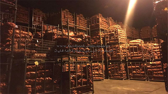 ضبط 700 طن بطاطس مخزنة تم حجبها عن السوق بدمياط