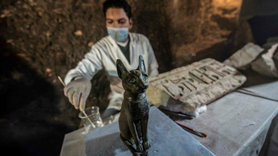 تفاصيل العثور على 300 ألف قطة محنطة فى مقابر أثرية بالجيزة