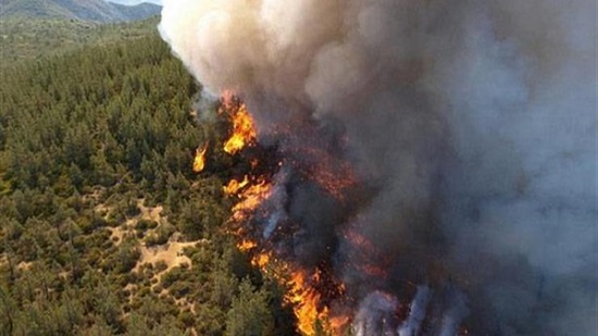  فقدان 600 شخص بسبب حرائق كاليفورنيا
