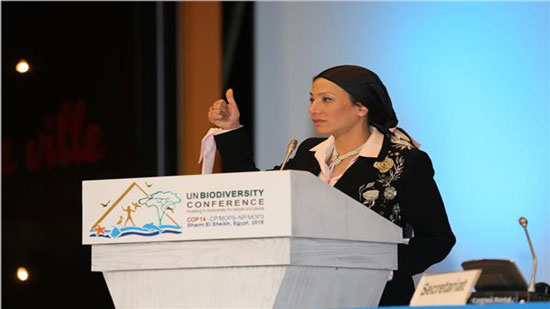  د. ياسمين فؤاد، وزيرة البيئة