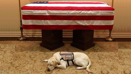  كلب الرئيس الأمريكي الأسبق يرفض مغادرة قبره 