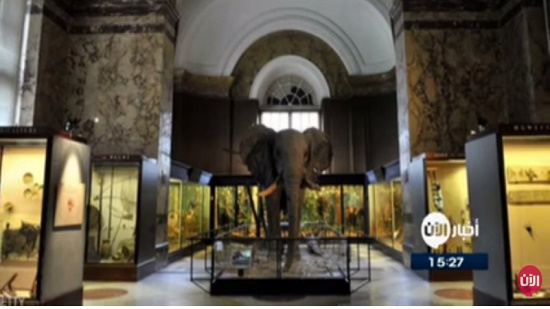  بلجيكا تفتتح متحف إفريقيا من جديد 
