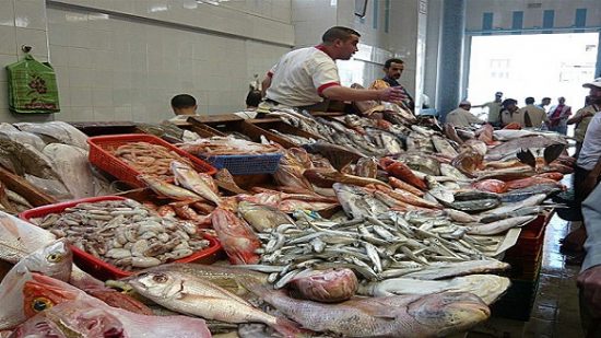 أسعار الأسماك اليوم.. 