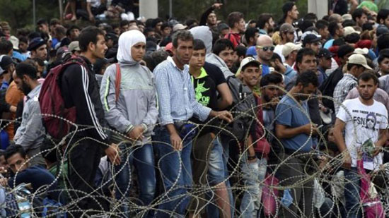 المستشار النمساوي راض عن تراجع تدفق اللاجئين إلى أوروبا