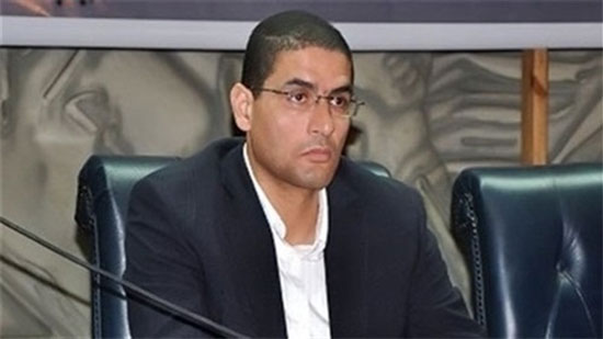 محمد أبو حامد، عضو مجلس النواب